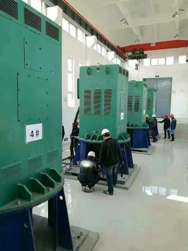 YKS6302-10/1120KW某污水处理厂使用我厂的立式高压电机安装现场